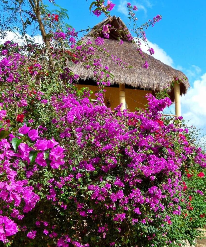 whatsapp image 2026 03 06 at 9.55.41 am (2)