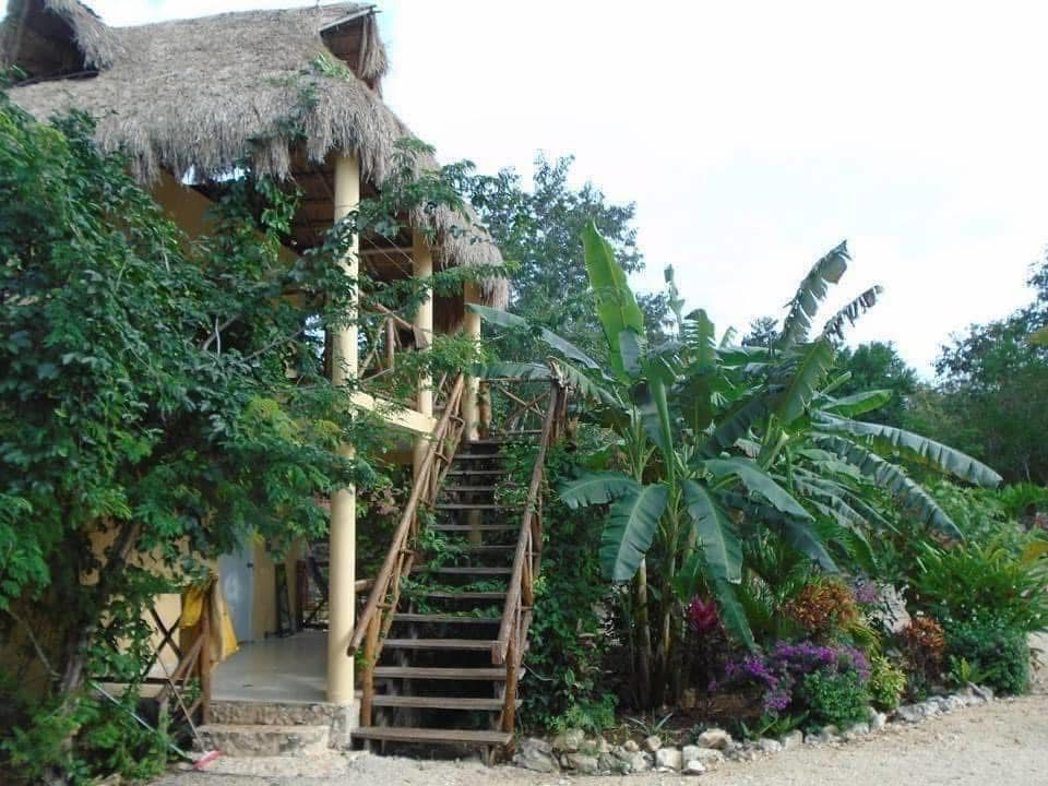 whatsapp image 2026 03 06 at 12.02.08 pm (2)