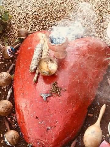 whatsapp image 2026 03 06 at 12.02.09 pm (3)