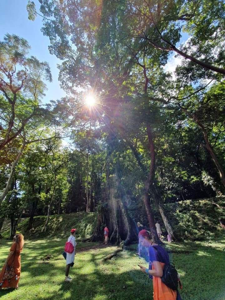 whatsapp image 2026 03 06 at 9.55.43 am (1)